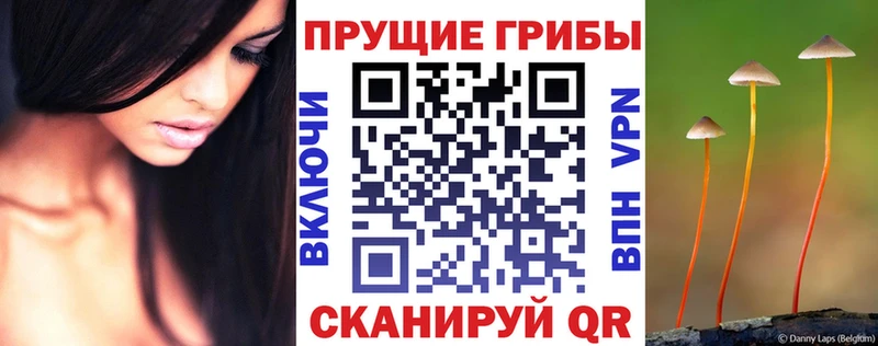 Галлюциногенные грибы Magic Shrooms  кракен вход  Теберда 